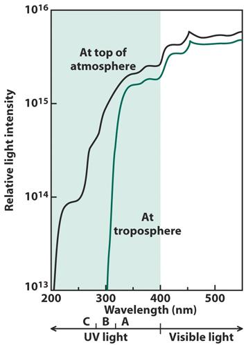 Absorption by Oxygen and Ozone in the atmosphere filters the UV component reaching the earth.