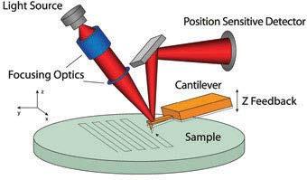 1. Introduction The atomic force microscope (AFM) was invented in 1986 by Binning, Quate and Gerber as a logical step in the development of scanning tunneling microscopy (STM), which was used only