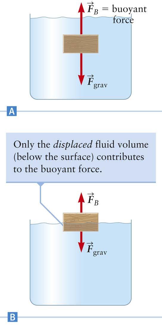 Buoyant Force The buoyant force is due to the increase of pressure with depth in a fluid The pressure at the bottom is greater than the pressure at the top This leads