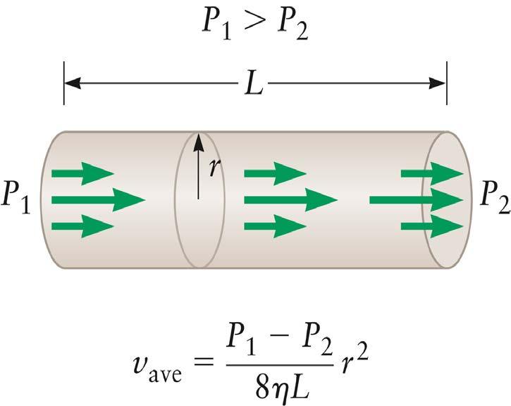 Poiseuille s Law For a viscous fluid to move through a tube, the pressure difference between the ends of the tube