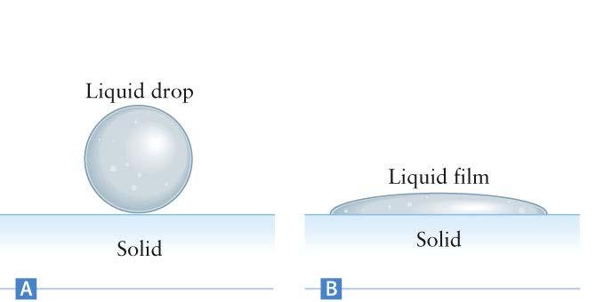 Surface Tension Two things may happen at the free surface of a fluid Which happens depends on the intermolecular forces In most liquids, the