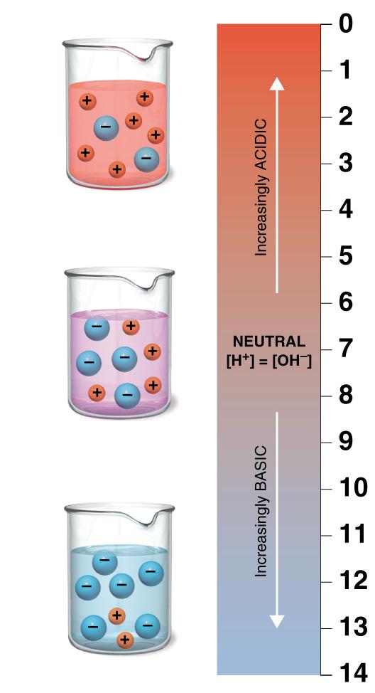 The ph scale. ph scale Stomach acid Lemon juice Acidic solution Grapefruit juice Wine Tomato juice Neutral solution Insert Fig 2.