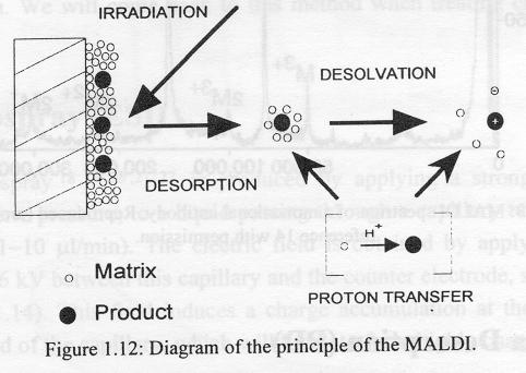 Matrix Assisted Laser Desorption Ionization (MALDI): An intense laser beam (10 6 10 10 W/cm 2 ) is focused on a sample.