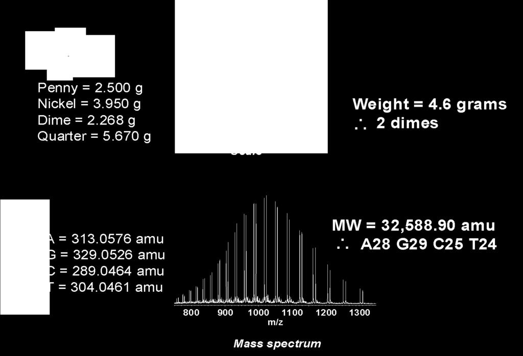 Masses to Base Composition Microsoft Media Elements Microsoft Media Elements Requires 25 ppm mass measurement error