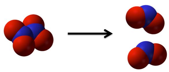 Example: Dinitrogen tetroxide (N 2 O 4 ) can undergo a decomposition