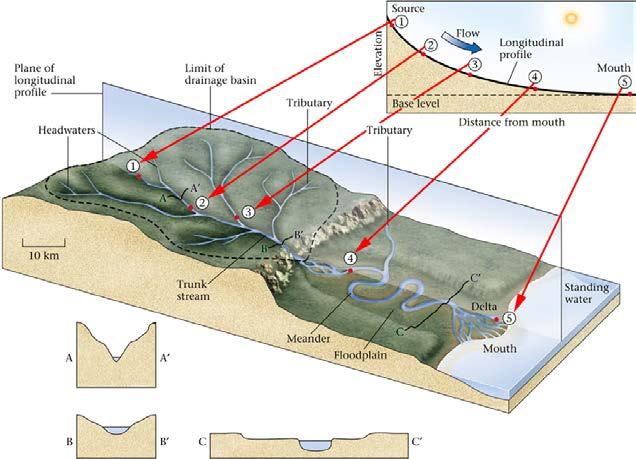 As river flows towards the mouth, gradient decreases, discharge increases, channel increases in