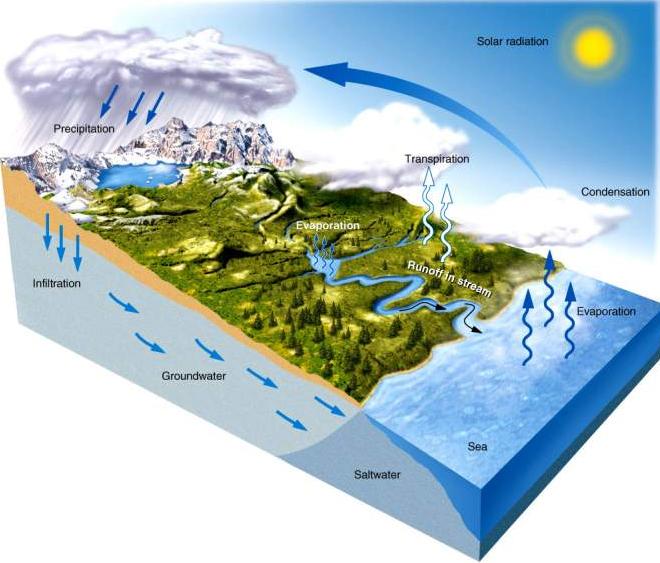 Hydrologic Cycle 3 Rivers & Streams: Basics River = big stream!