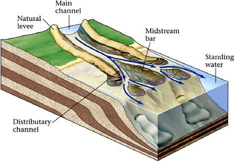 Deltas Sediment deposition builds out the toe of the delta and reduces the gradient.