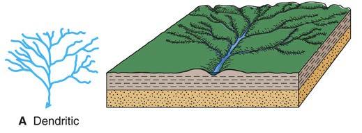 Streams & Drainage Networks Patterns produced