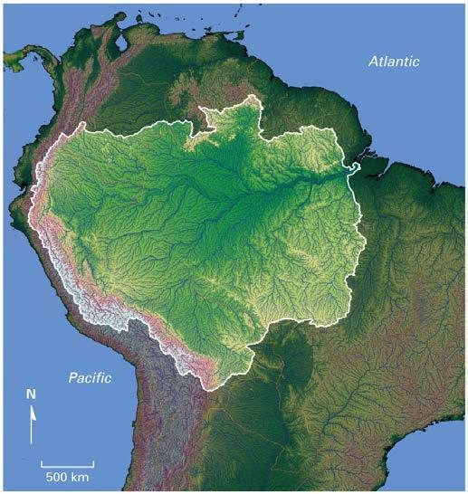 Streams & Drainage Networks The Amazon Watershed Permanent streams