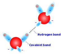 4) Polar Molecules: Hydrogen Bonding If hydrogen is bonded to a VERY electronegative atom (F, O or N), a very strong dipole forms.