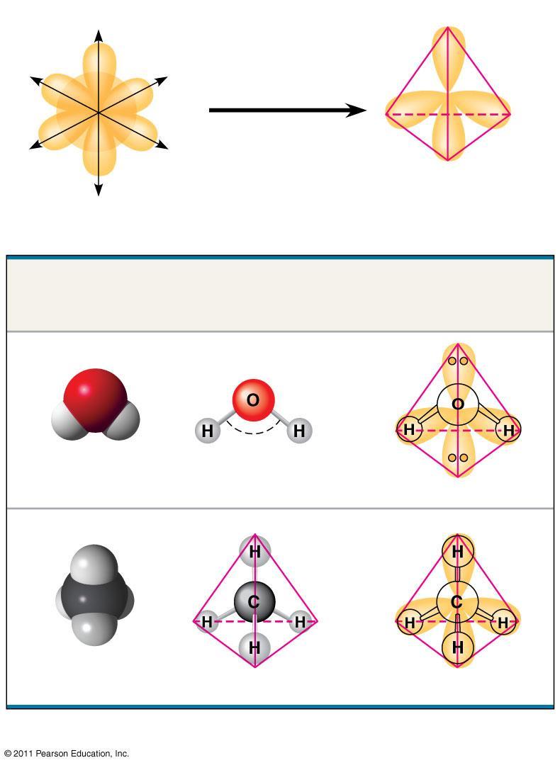 Geometry of Covalent Bonds z s orbital Three p orbitals x y (a) ybridization of orbitals Four hybrid orbitals Tetrahedron The basic arrangement of covalent bonds and electron pairs around CARBON,