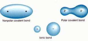 It can form polar and non-polar molecules Pure carbon is not water