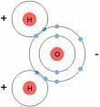 Covalent Bonds- force that holds two atoms together with shared electrons- most common bond Attraction of the positively charge nuclei to the shared negatively charged electrons Can