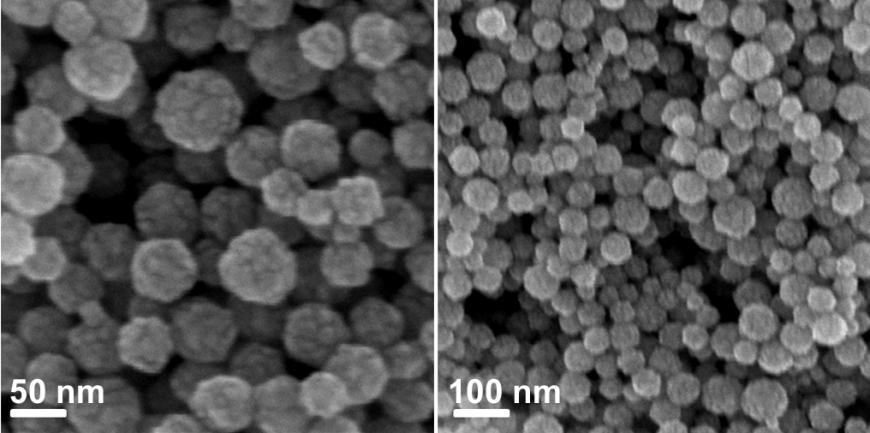 Fig. S7. SEM images of the flower-like Au-Pd NPs. The Au/Pd ratio was estimated to be 66:34 by using ICP-AES.