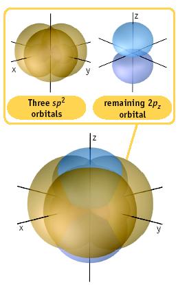 and this p orbital overlaps the p orbital on the