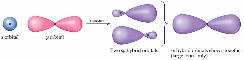 Orbital Hybridization Theory Measurements show that all four bonds are EQUAL so they must be HYBRIDIZED For methane, the s orbital combines