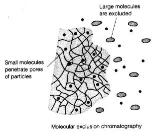 Types of Chromatography (continued) Molecular Exclusion Chromatography Also known as gel permeation or gel filtration, this type of chromatography lacks an