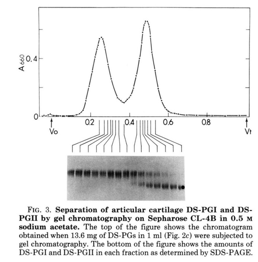 Molecular Exclusion Chromatography Separation of
