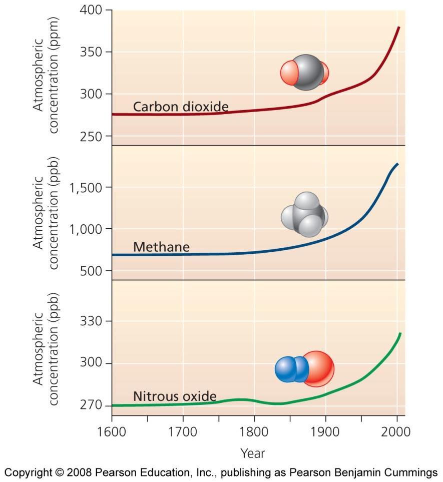 Carbon dioxide is of primary concern Not the most potent greenhouse gas, but it is extremely abundant - The major contributor