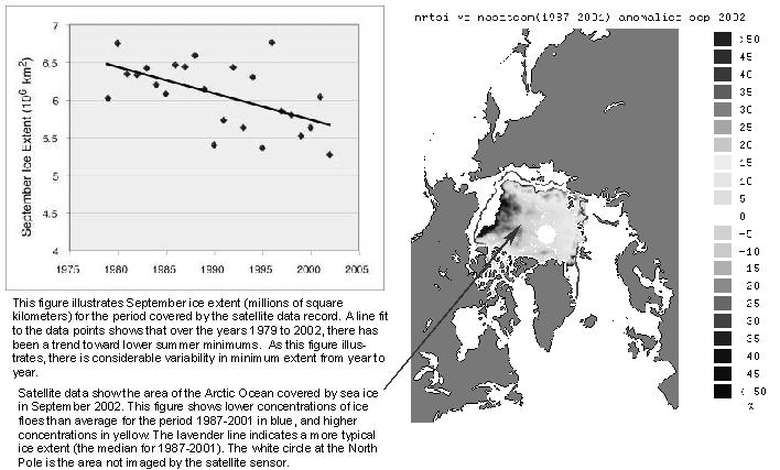 Observed results of GH: Loss of Sea Ice Effects polar bears: 2006 study showed predation and cannibalism within Beaufort Sea