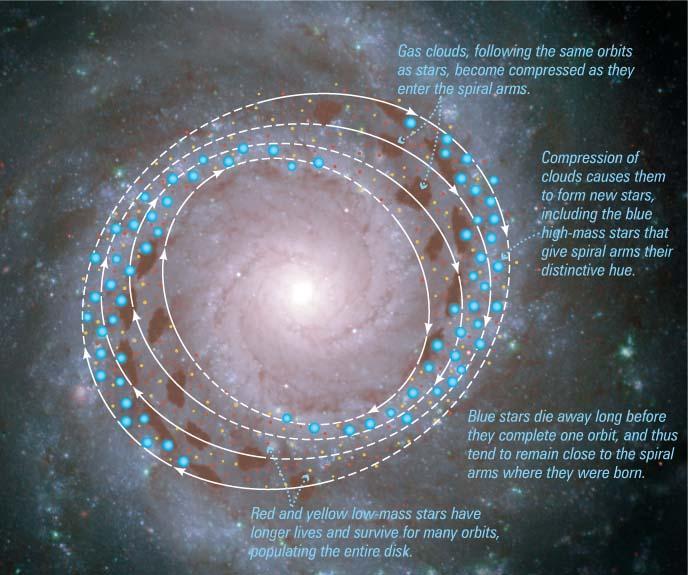 Spiral Arms Spiral arms caused by spiral density waves Gas is
