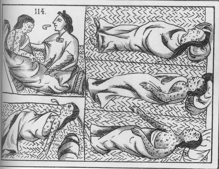 Death by disease and forced labor during the Conquest of Mexico: World Smallpox History epidemic of Biodiversity: 16 th Century How is