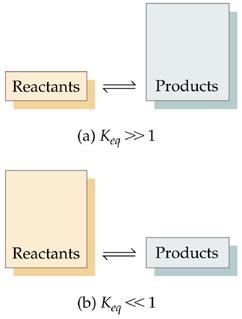 If K eq >> 1, then products dominate at equilibrium and equilibrium lies to the right. If K eq << 1, then reactants dominate at equilibrium and the equilibrium lies to the left. Sample Exercise 15.