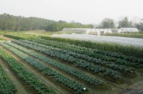 of local agriculture Enhance competitiveness of