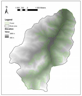 B Evaluation of vegetation s influence Forest cover Probability of FS<1 for different sizes of slopes size =