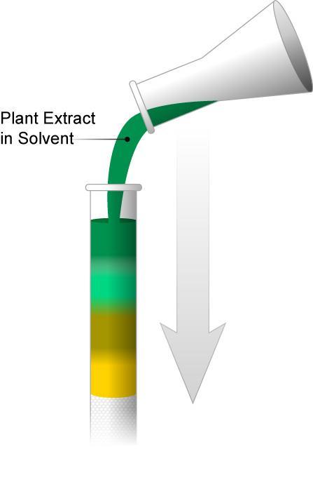 Tswett's Experiment (1903) Tall glass open column filled with sand-like particles (alumina, or chalk) Ground-up plant extract Poured into the column and saw colored bands develop as the extract