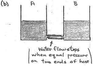 Here the amount of water in the container A is similar to the excess charge on the electroscope 1, and the difference in water pressure in the hose is similar to the potential difference between the
