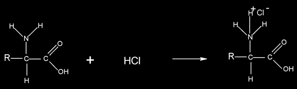 PREPARATION OF PHENYLAMINE Nitrobenzene is heated under reflux with tin and hydrochloric acid to form phenylammonium salt, which is then reacted with excess sodium hydroxide AMINO ACID PLUS ACID