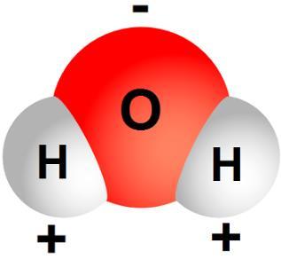 The two oxygen atoms pull with equal strength in opposite directions.