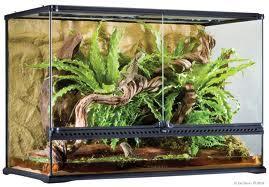 EX: A terrarium has a volume of 4608 cubic inches.