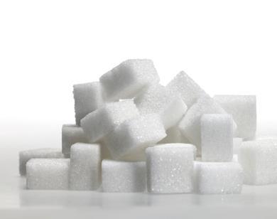 energy from sunlight to make sugars used as