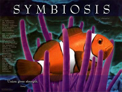 SYMBIOSIS: SYMBIOSIS = a close and permanent association among organisms of