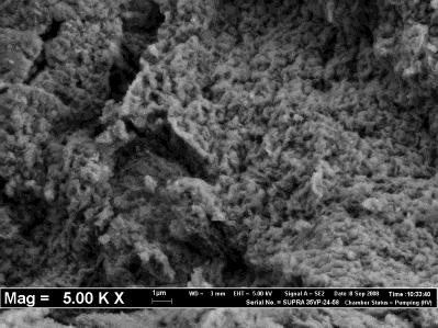 (b) (e) (c) (f) Figure 9: SEM images of (a) CO 2 adsorbed synthesized hydrotalcite, (b) heat treated synthesized hydrotalcite at 450 o C, (c) heat treated synthesized hydrotalcite at 700 o C, (d) CO