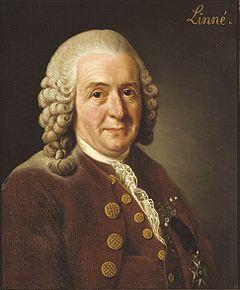 Linnaeus developed the classification system