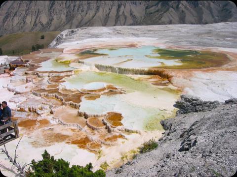 Archaea Often live in extreme environments, like: hot springs, hydrothermal vents and salty
