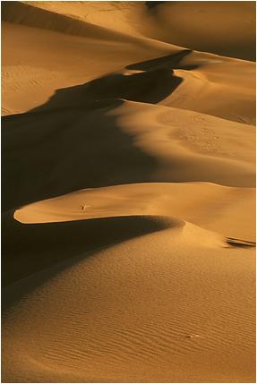 Deposits from wind erosion forms: sand dunes & loess deposits Sand Dunes Loess deposit of windblown sand different
