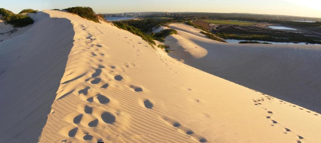 Sand Dunes Piles of sand Deposited by wind Leeward side