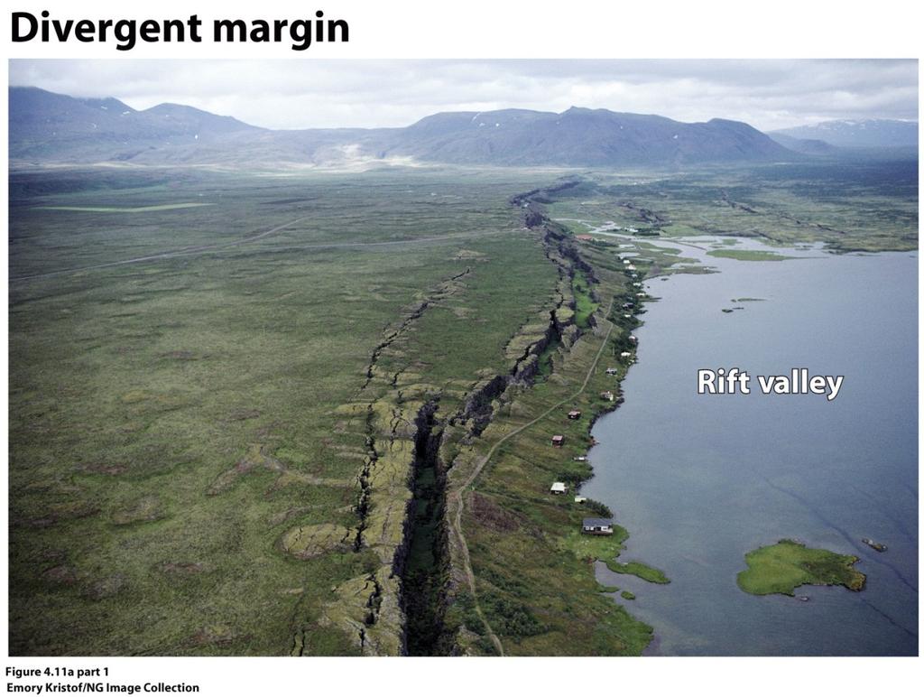 The Plate Tectonic Model Divergent margins A