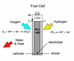Principle Fuel Cells A simple example of a hydrogen fuel cell consists of an anode and a cathode with an electrolyte in-between that allows positive ions to pass through.