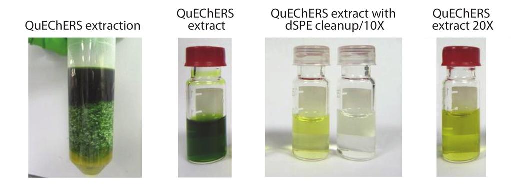 Figure 6: Preparation of kale samples for analysis.