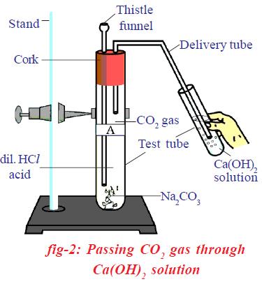 2. Passing CO 2