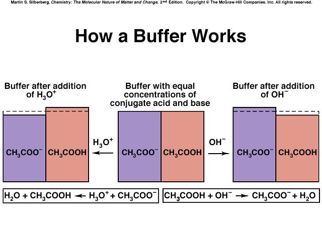 A buffer consists of a solution that contains high concentrations of the acidic and basic components.