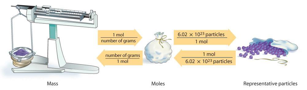 10.2 Mass and the Mole Using Molar Mass (cont.