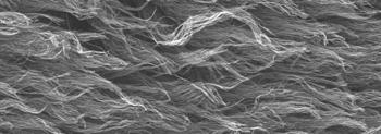 normal adhesions on nanotube length