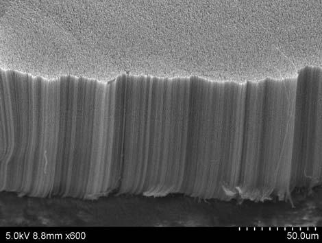 The corresponding enlarged SEM side view in Fig. S12c reveals the absence of entangled nanotube segments from the top of the inverted VA-MWNT array.